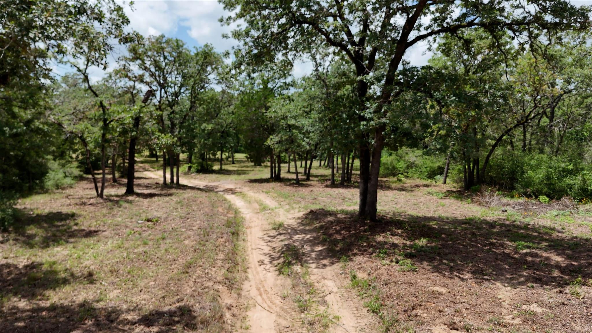 277 Meuth Cemetery Rd, Red Rock, TX 78662 — photo 1