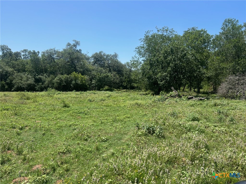 289 CR 427 Road, , TX 77987 — photo 1