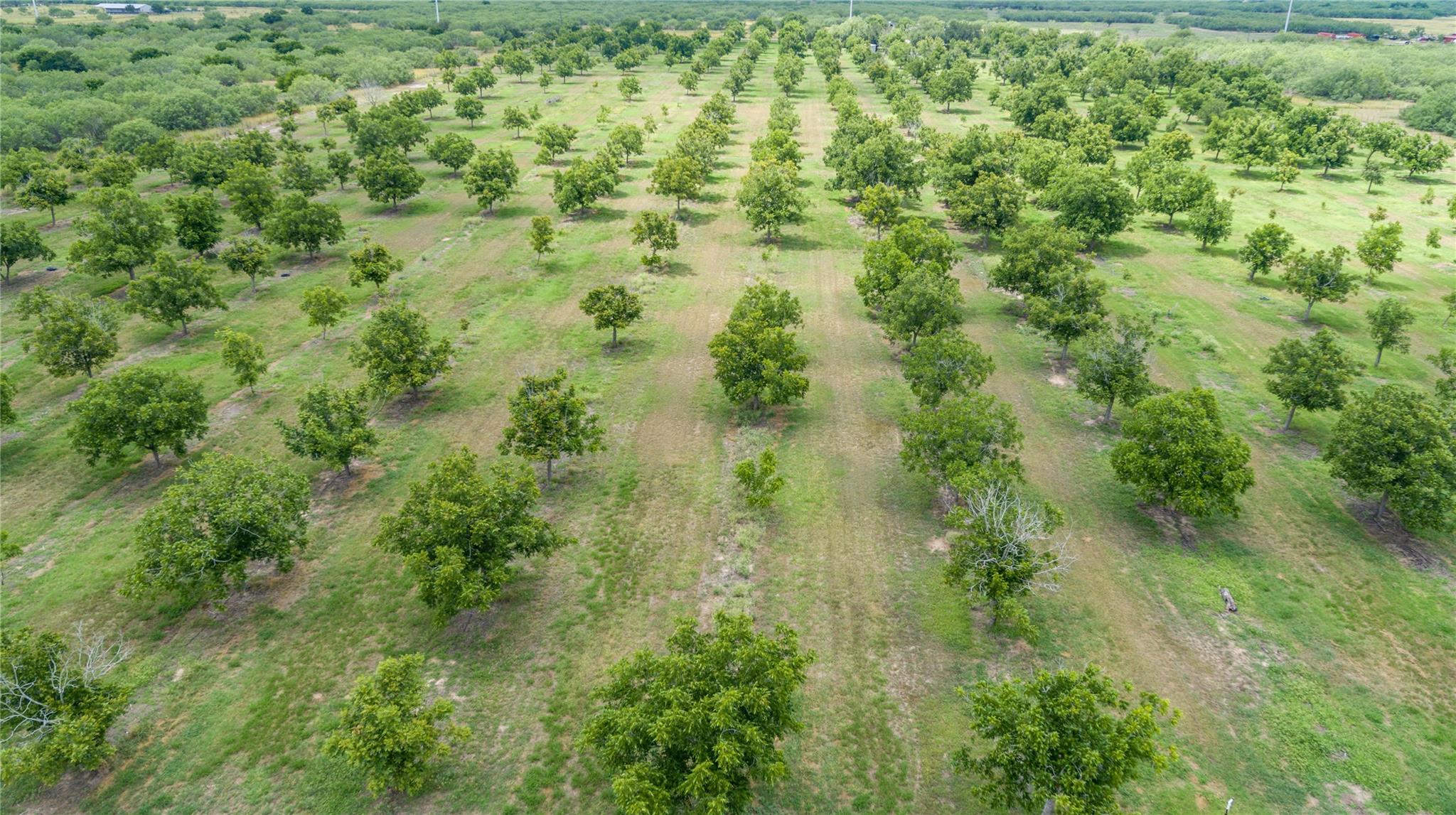 475 W County Road 418, Premont, TX 78375 — photo 1