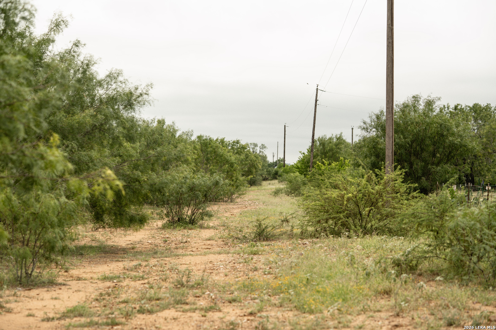478_498 Cr 7421, Yancey, TX 78886 — photo 1