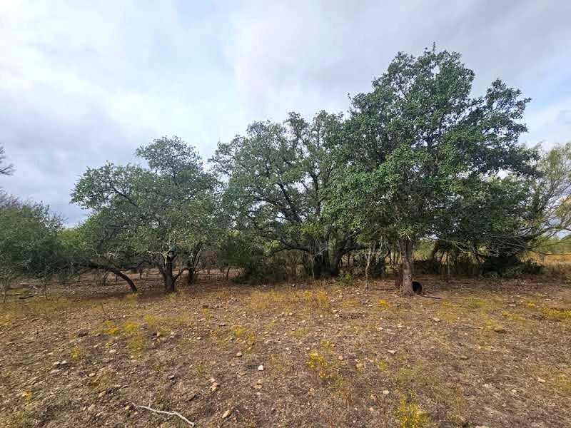 415 Black Watch, Lockhart, TX 78644 — photo 1
