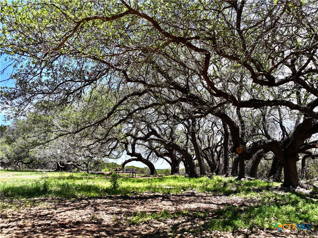 285 Donnie Drive, Lampasas, TX 76550 — photo 1