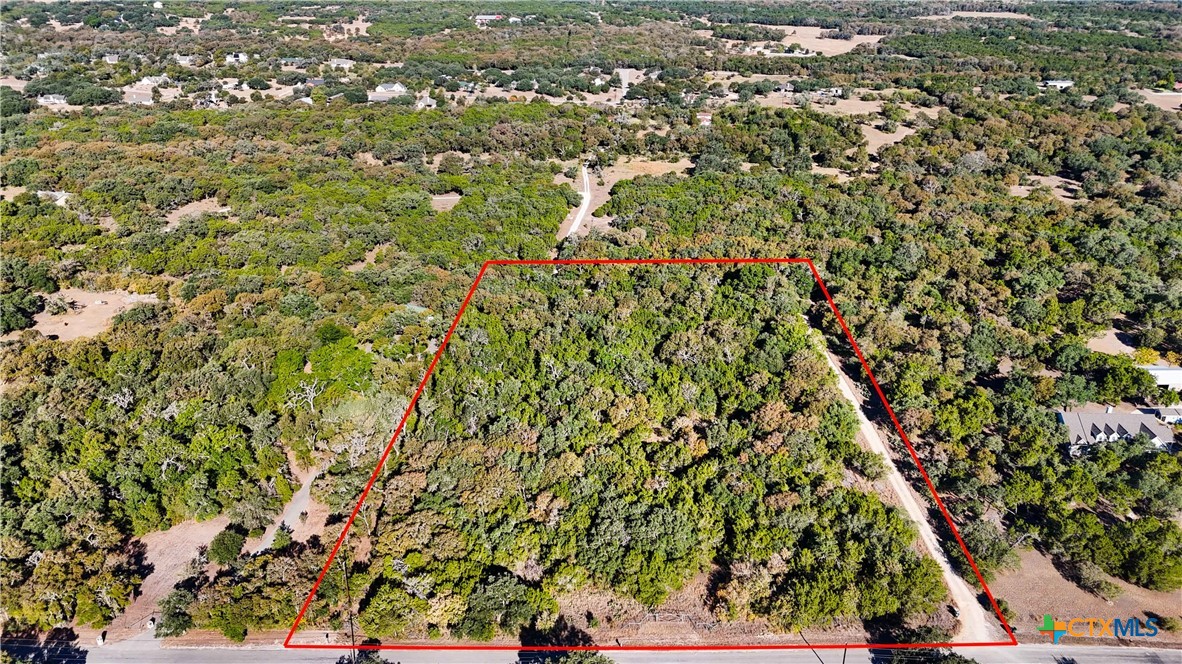 1306 Thousand Oaks Loop, San Marcos, TX 78666 — photo 1
