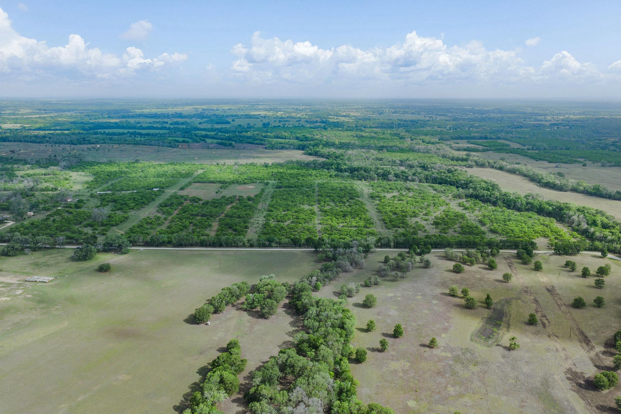 TBD Lot 4 Young, Lockhart, TX 78662 — photo 1