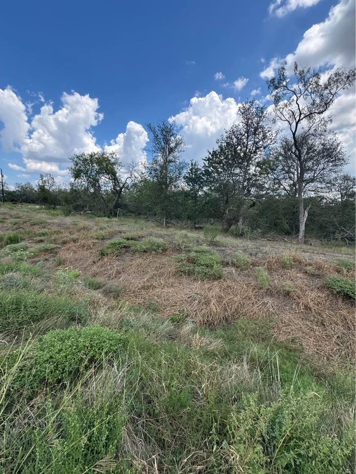 225 Brinley Mae, Lockhart, TX 78644 — photo 1