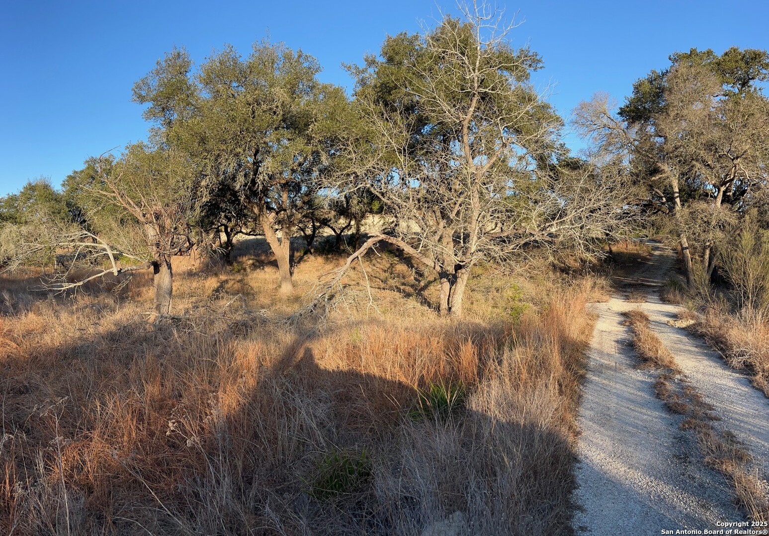 3520 & 3524 Comal Spgs, ,  78133 — photo 1
