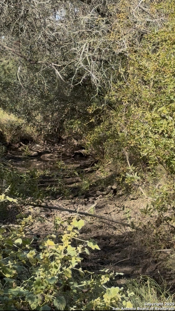 0 Iuka, , 78065 — photo 1