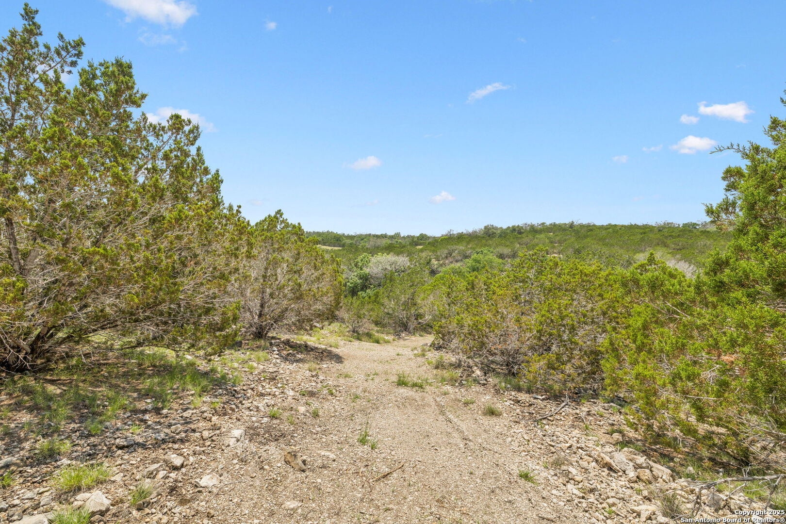 000 Pitre Springs Road, ,  78028 — photo 1