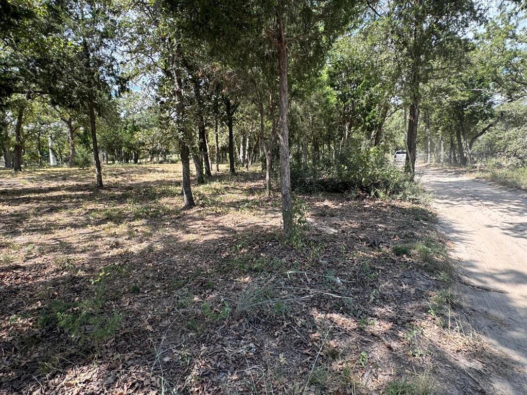 [Lot 2] 000  Jordan Ln, Elgin, TX 78621 — photo 1