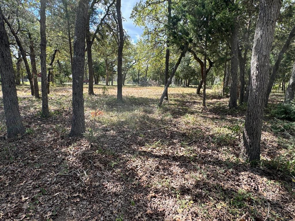 [Lot 1] 000  Jordan Ln, Elgin, TX 78621 — photo 1