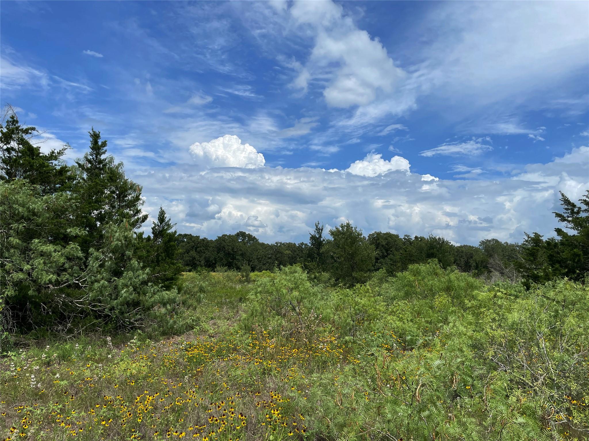TBD  FM 141 None, Giddings, TX 78942 — photo 1