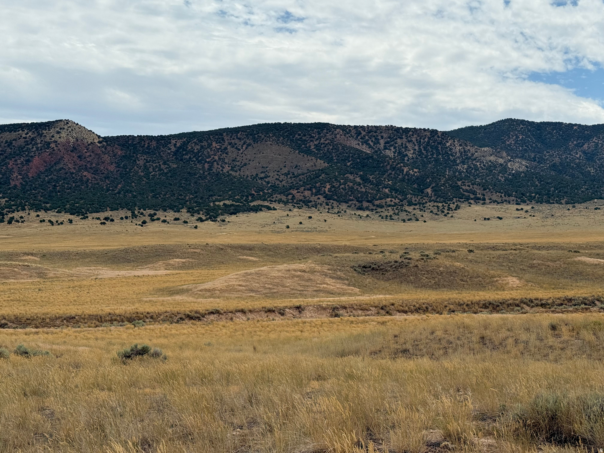 15 OLD DAM RD, Levan, UT 84639 — photo 1