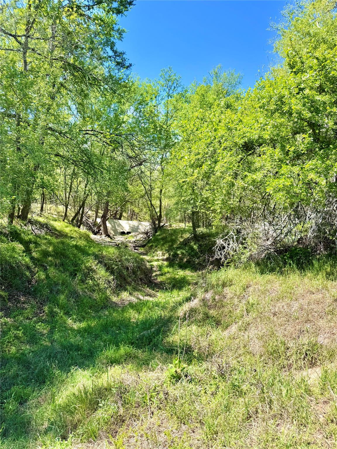3775  Baker Rd, Kingsbury, TX 78638 — photo 1
