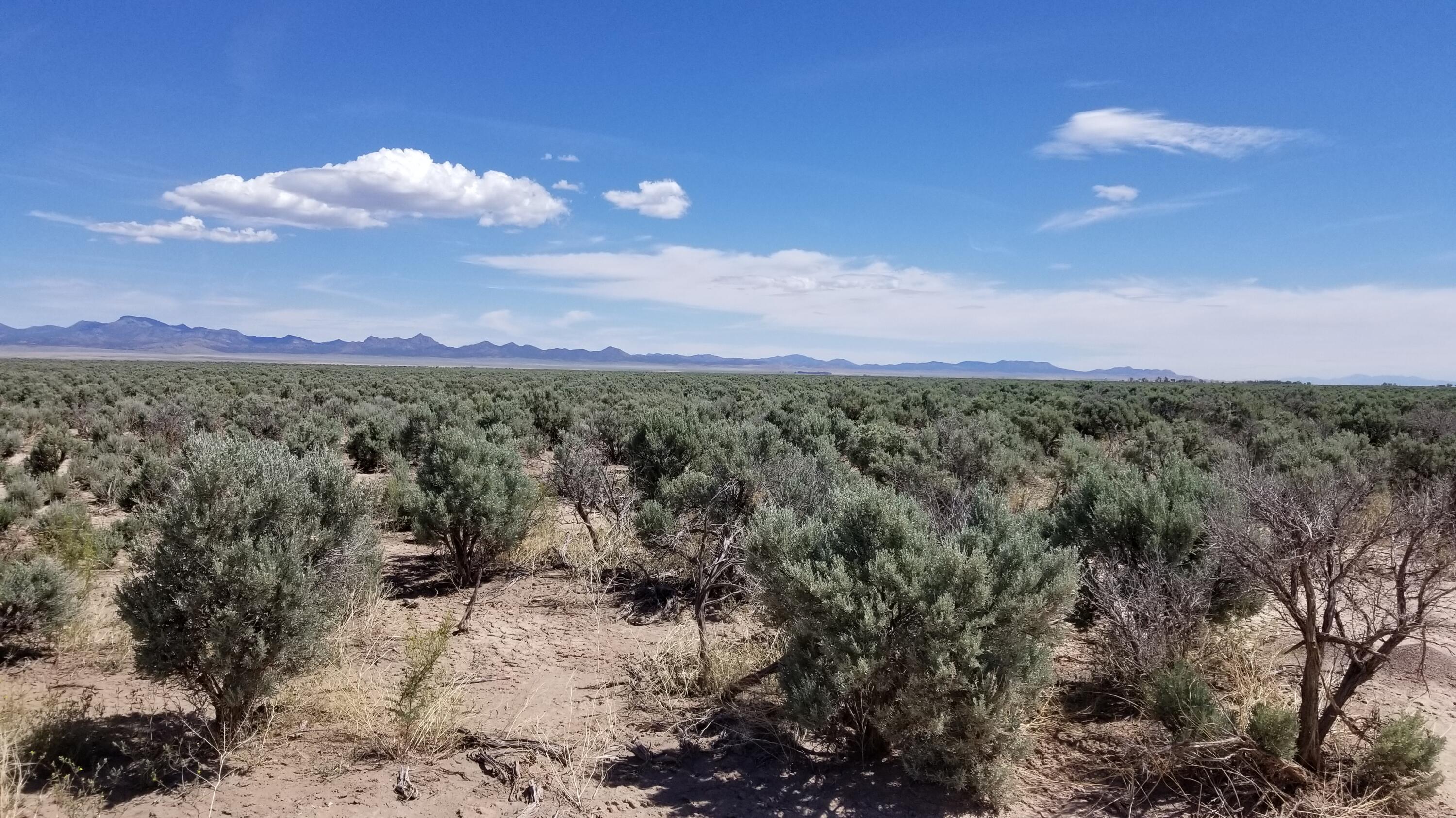 8350 W 5200 N 503 and 504, Beryl, UT 84714 — photo 1