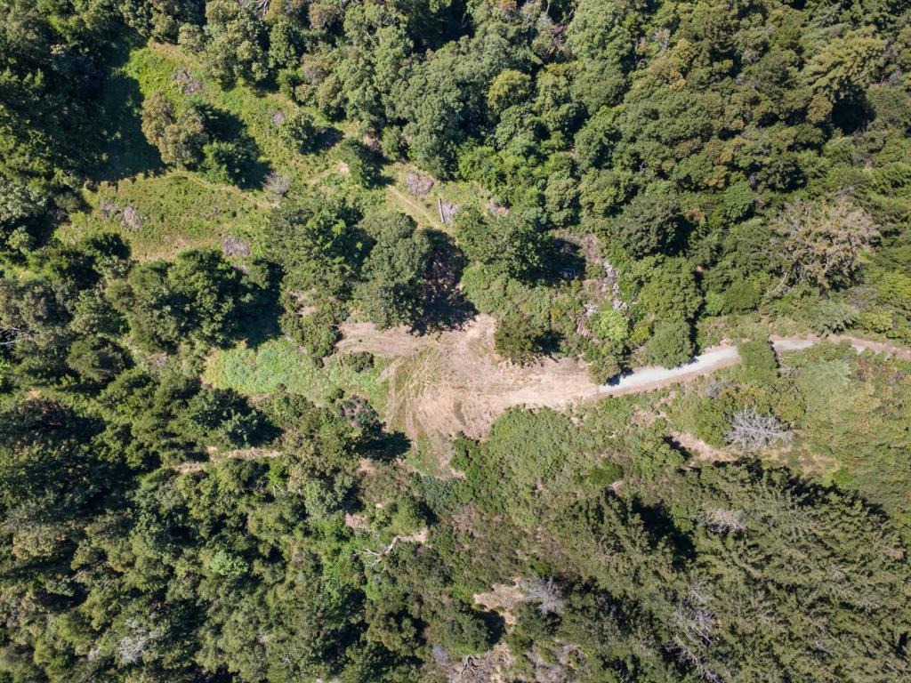 0 Big Basin Way