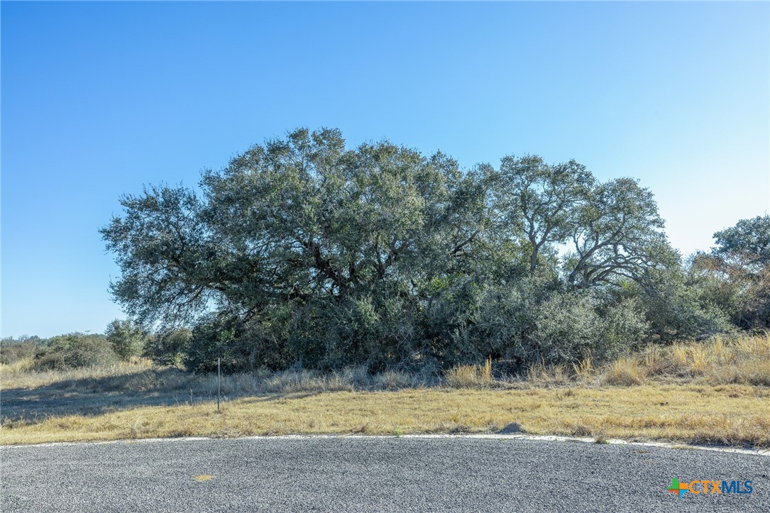 000 Briarhill Road BLK 3 Lot 4, Inez, TX 77968 — photo 1