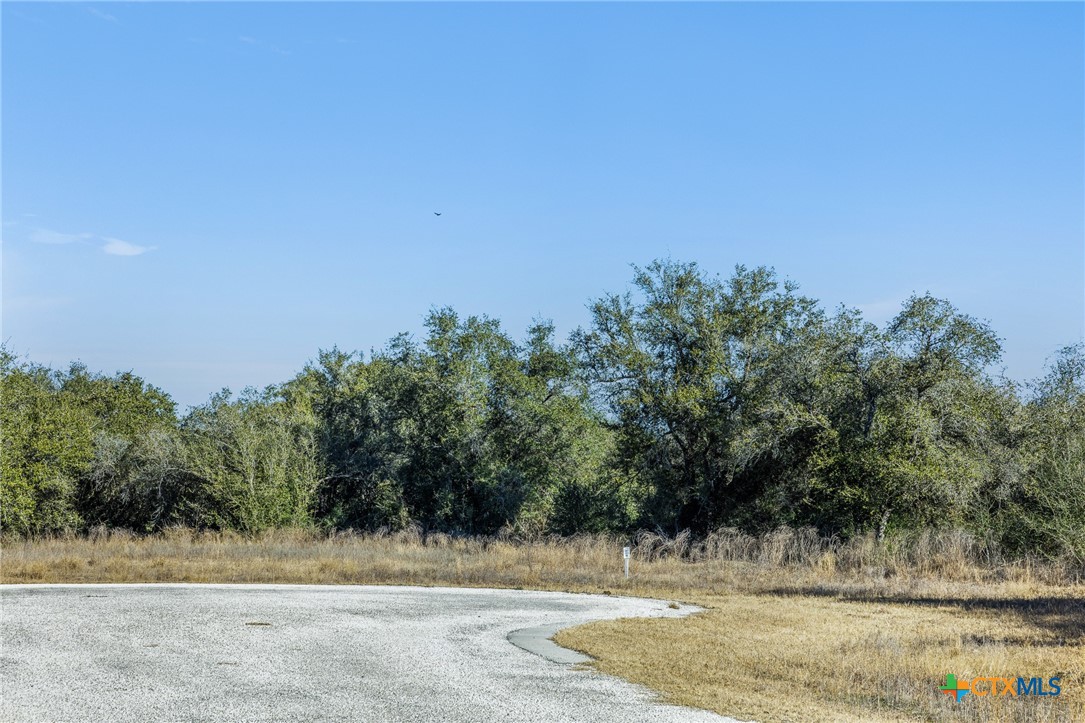 000 Sophie Ranch Road BLK 1 Lot 7, Inez, TX 77968 — photo 1