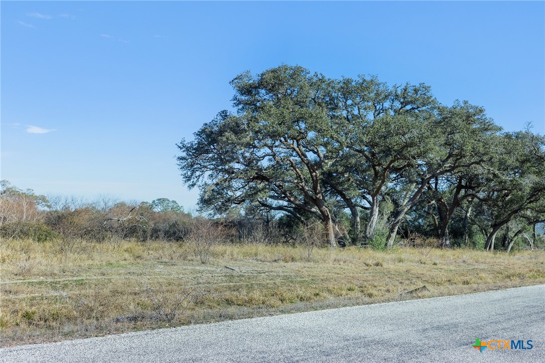 000 Savannah Ranch Road BLK 1 Lot 12, Inez, TX 77968 — photo 1