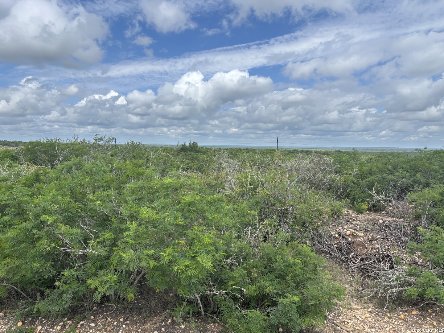 0 CR 1515, ,  78057 — photo 1