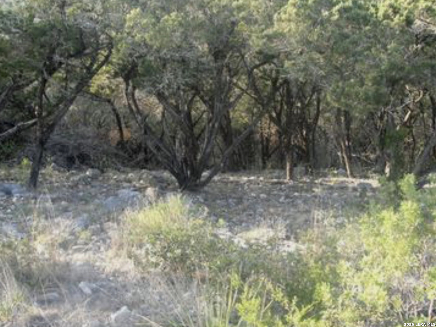 PR 1718 LOT 42 Pr 1718, ,  78056 — photo 1