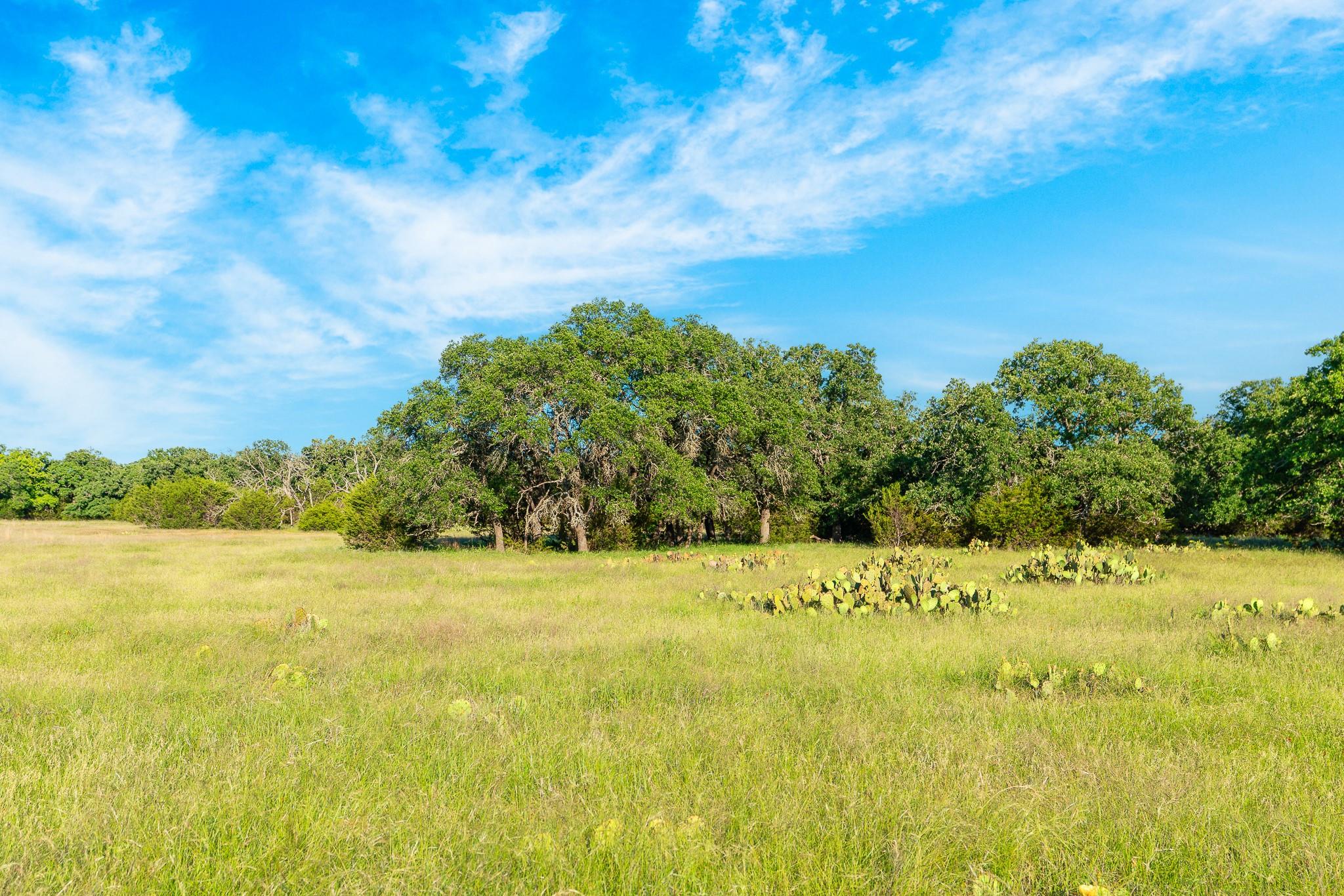 32 Feild Ranch, Burnet, TX 78611 — photo 1