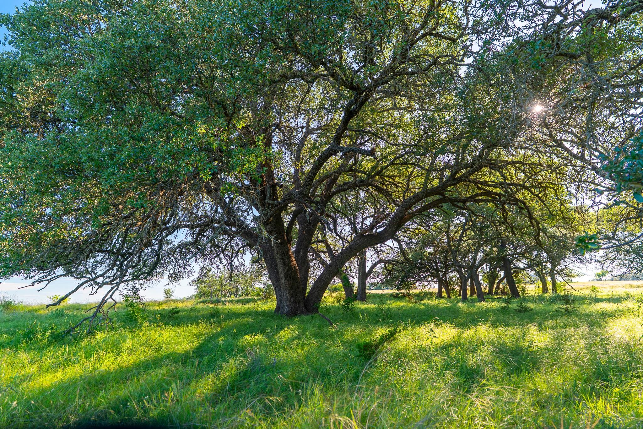 28 Feild Ranch, Burnet, TX 78611 — photo 1