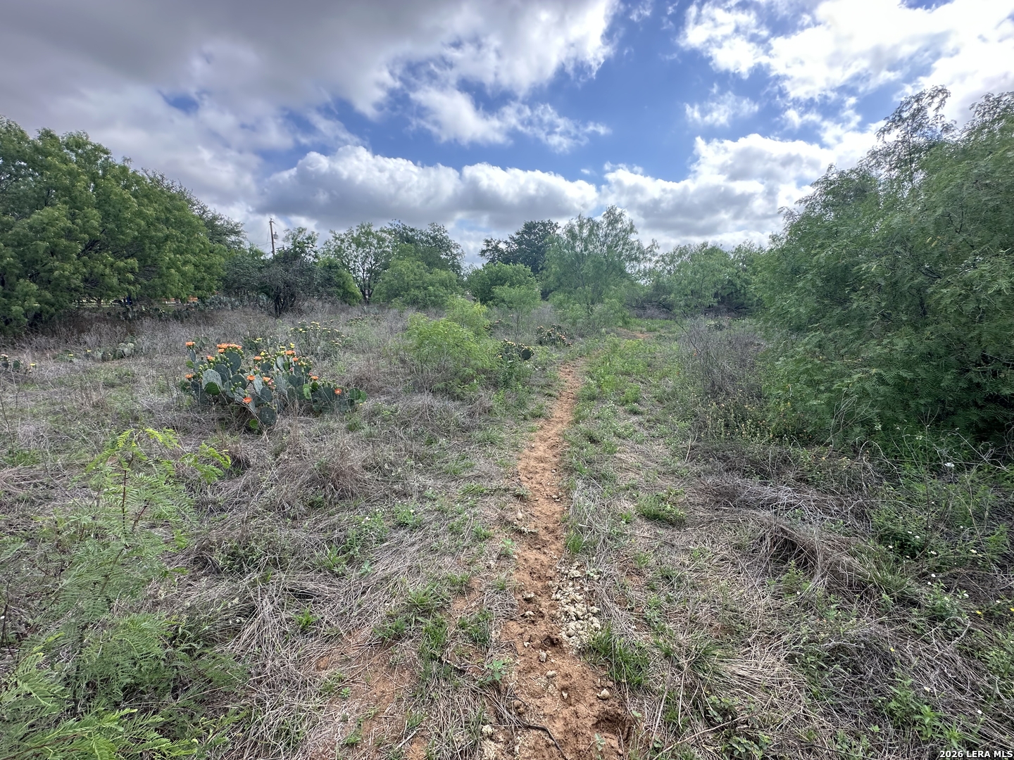 17603 Shepherd Rd, Atascosa, TX 78002 — photo 1