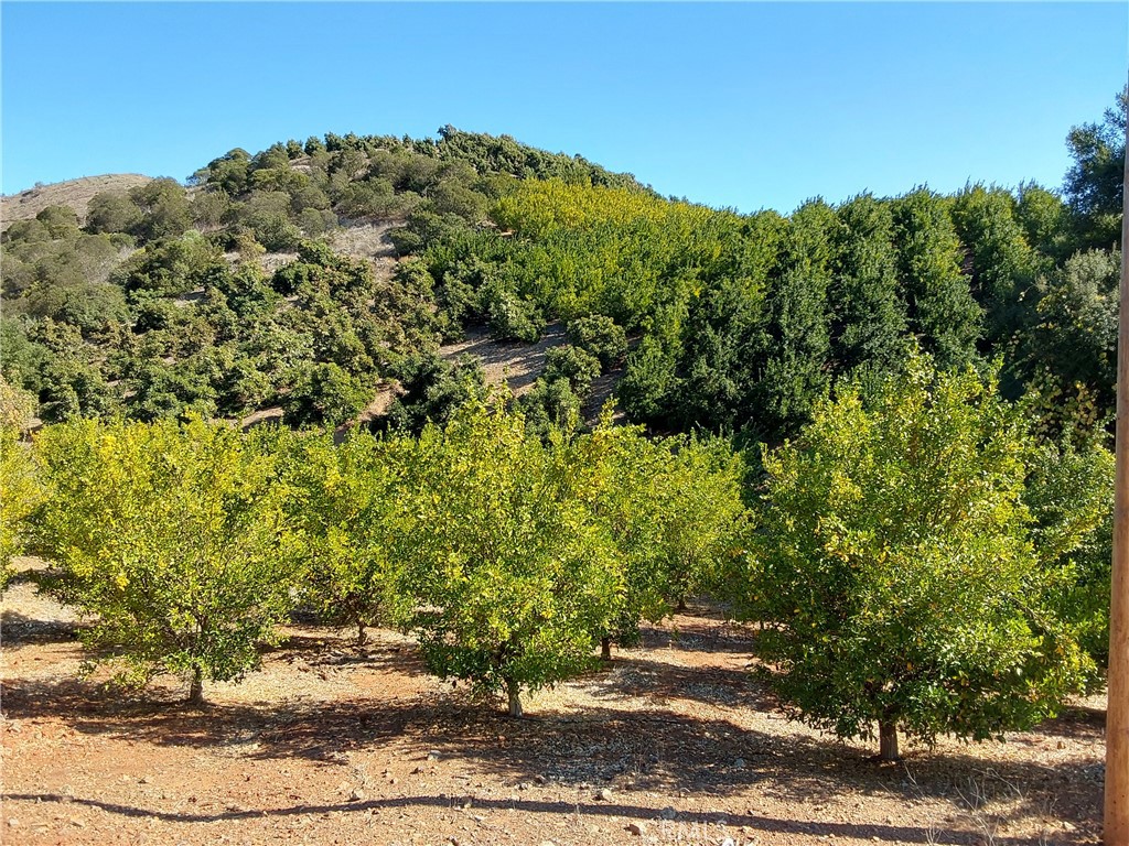 3 Via Vaquero, Temecula, CA 92590 — photo 1