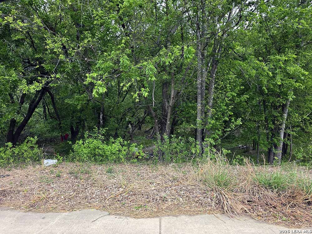 1900 HUNT LN, ,  78227 — photo 1