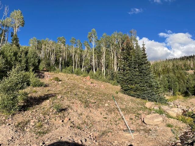 1015 E Autumn DR, Brian Head, UT 84719 — photo 1