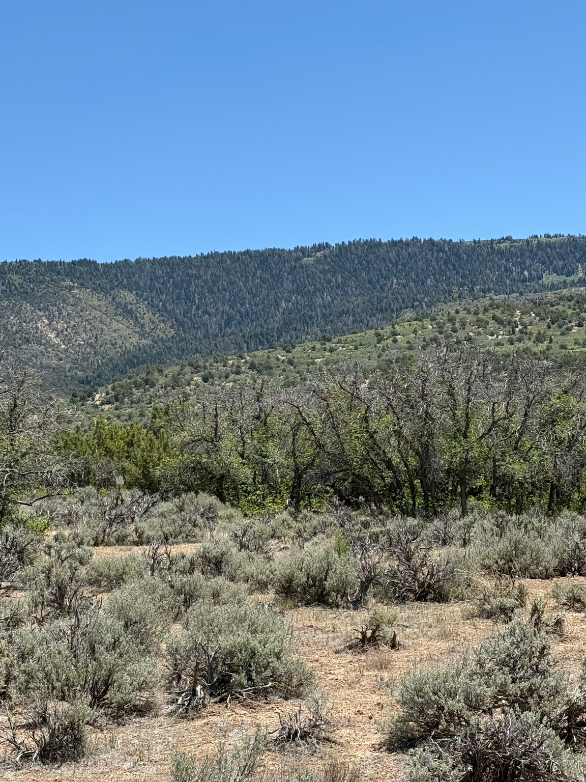 9  EAST HOLLOW RD, Spring City, UT 84662 — photo 1