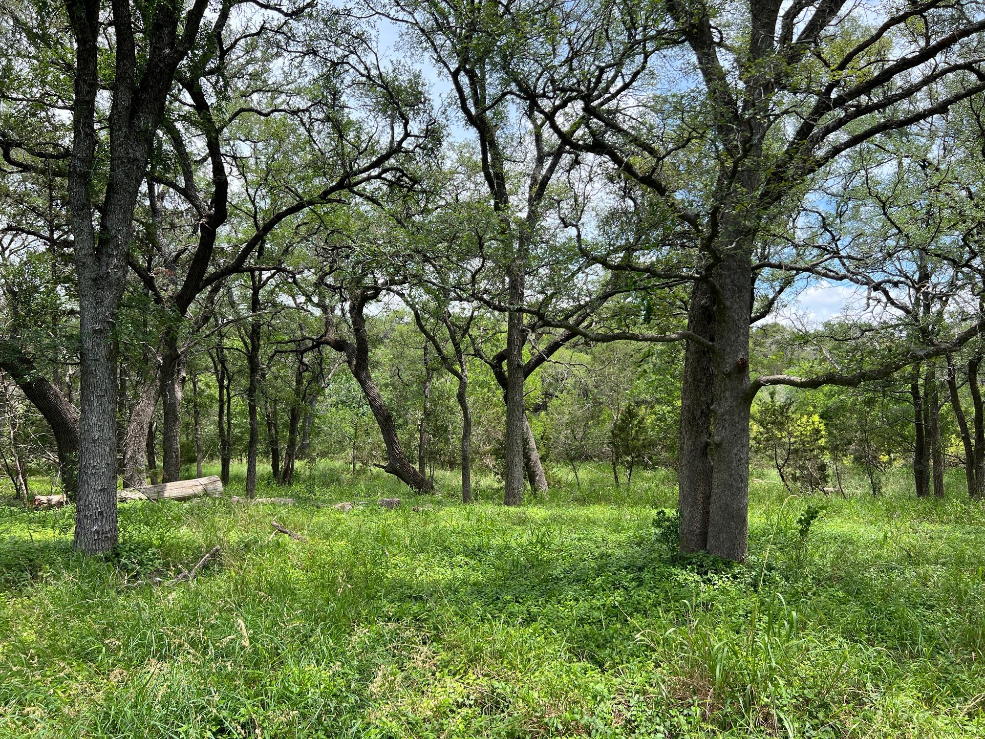 TBD Lot PT 19 Narrows, Blanco, TX 78606 — photo 1