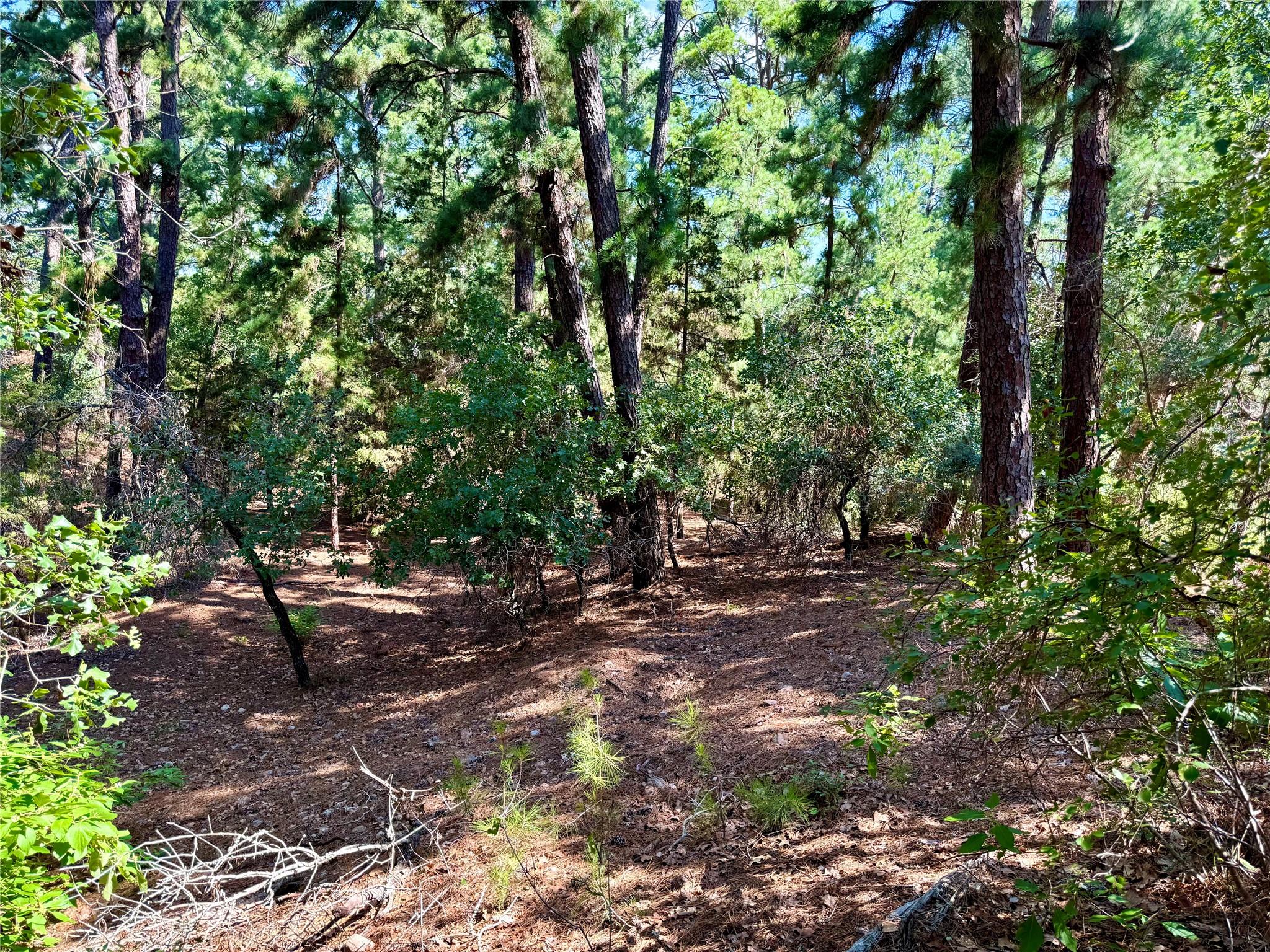 112, 114, 118 Kaimuki, Bastrop, TX 78602 — photo 1