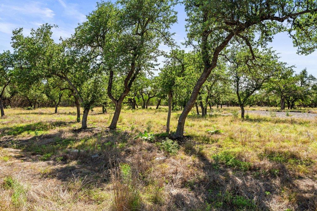300 Stonegate, Dripping Springs, TX 78620 — photo 1