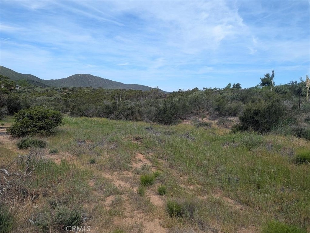 37120 Woodview, Anza, CA 92539 — photo 1