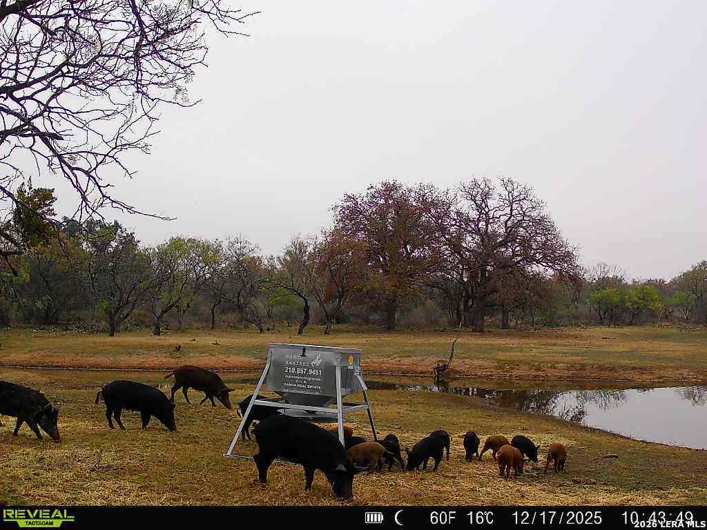 3722 Ranch Road 2241, ,  78643 — photo 1