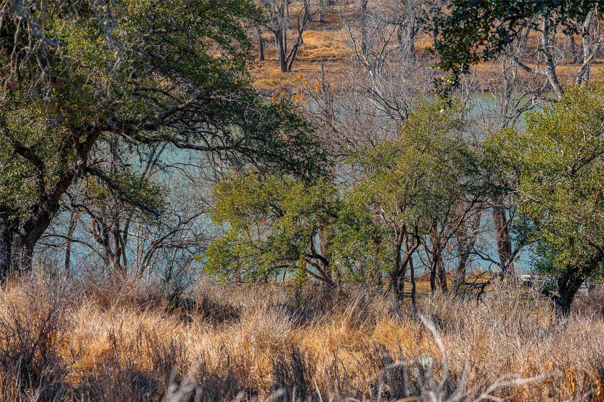 000 River, Johnson City, TX 78636 — photo 1