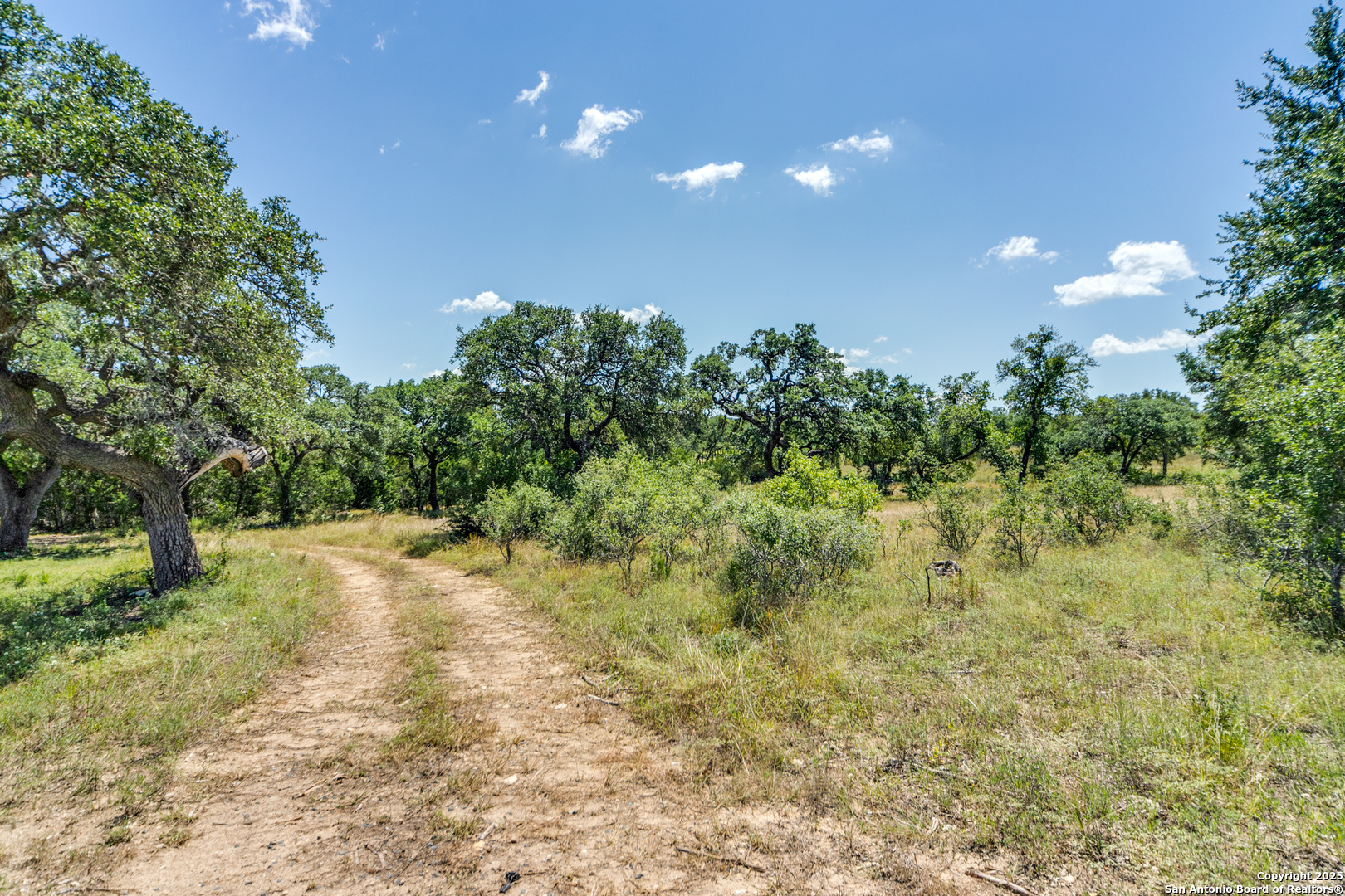 LOT 14 Barreal, ,  78006 — photo 1