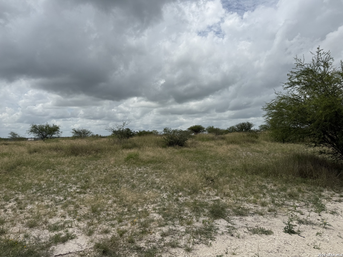 TBD FM 2102, ,  78119 — photo 1