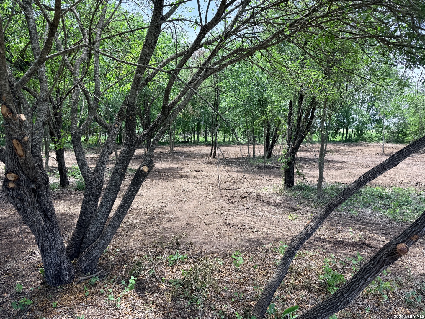 1 ACRE FM 471, ,  78059 — photo 1