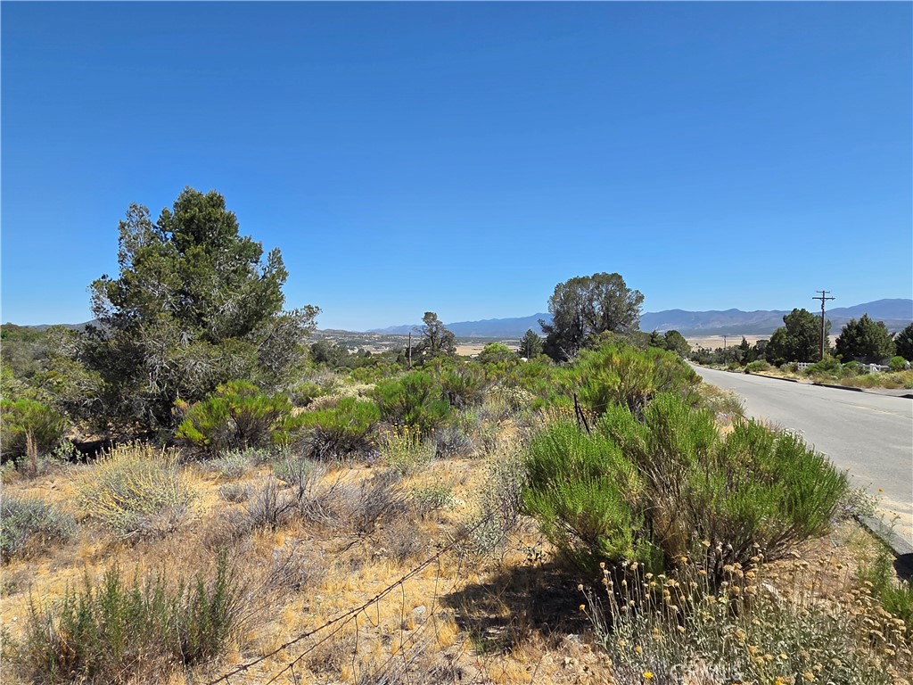 37310 Bohlen, Anza, CA 92539 — photo 1