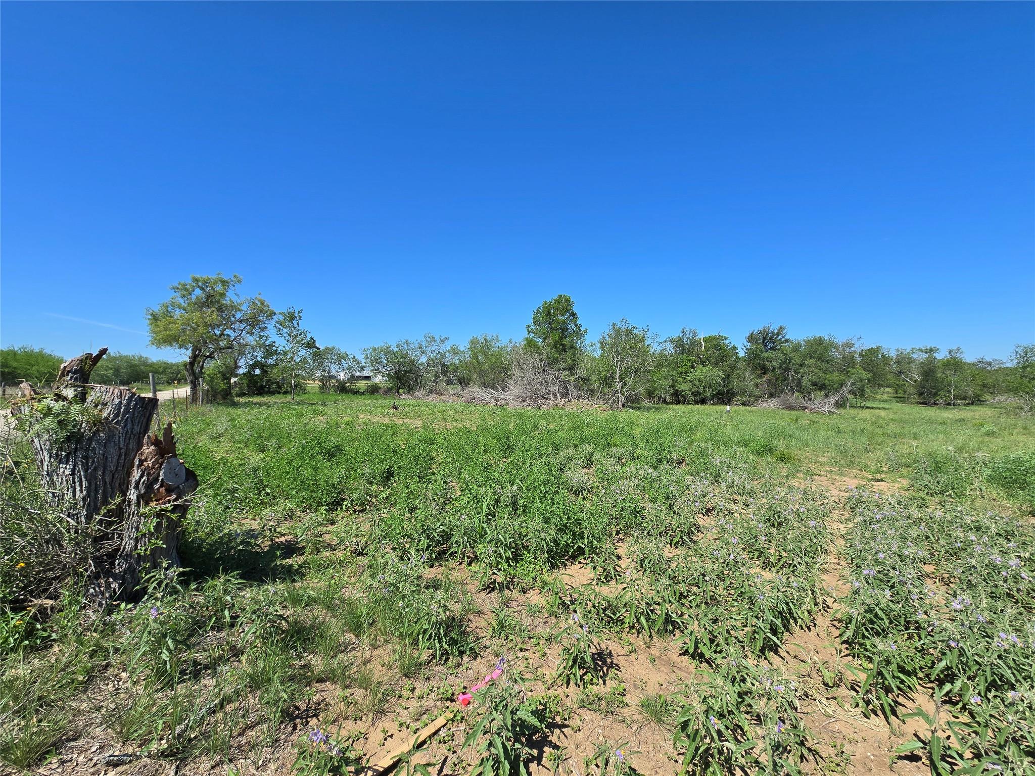 TBD FM 466, Seguin, TX 78155 — photo 1