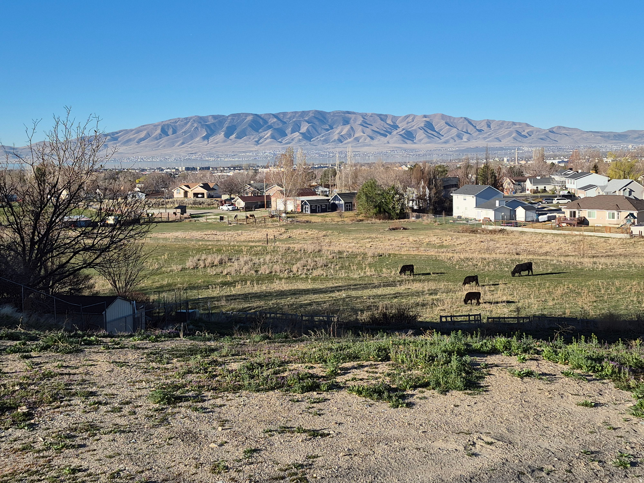 975 NOB HILL AVE, American Fork, UT 84003 — photo 1