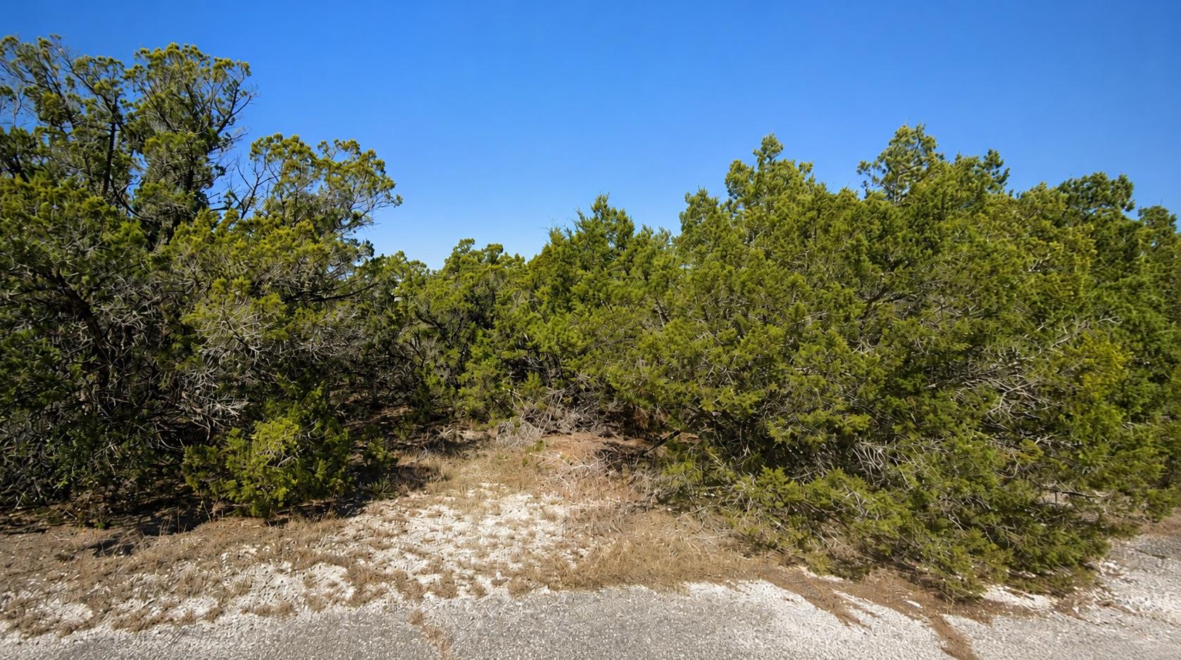 8404 Angus, Leander, TX 78645 — photo 1
