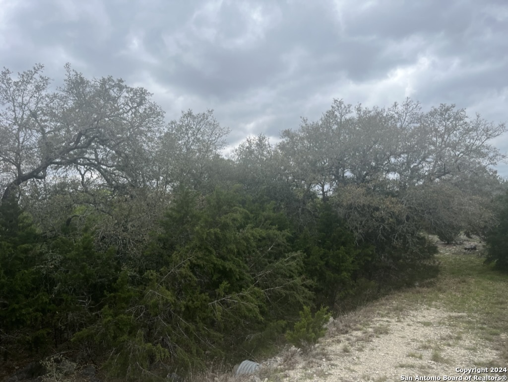 192 MACAW LN, ,  78070 — photo 1