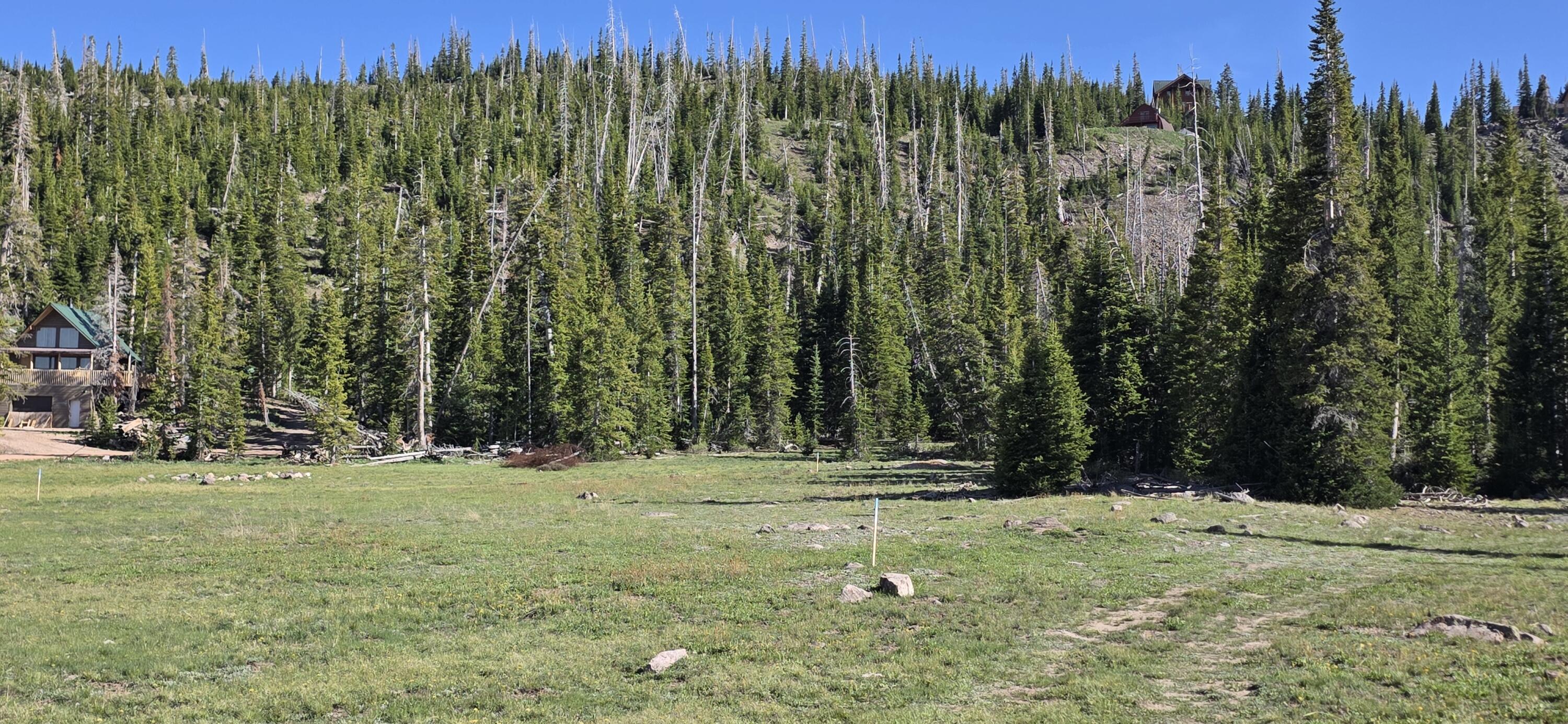 39 S Quill RD, Brian Head, UT 84719 — photo 1