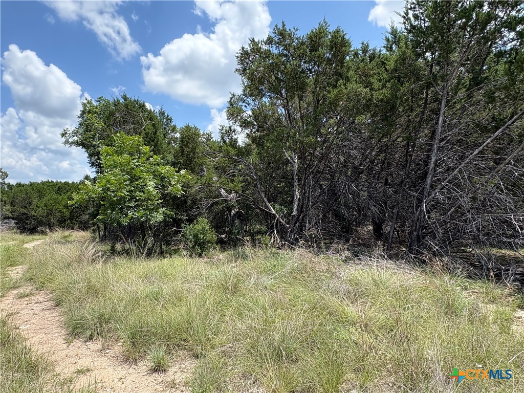 317 County Road 3062, Lampasas, TX 76550 — photo 1