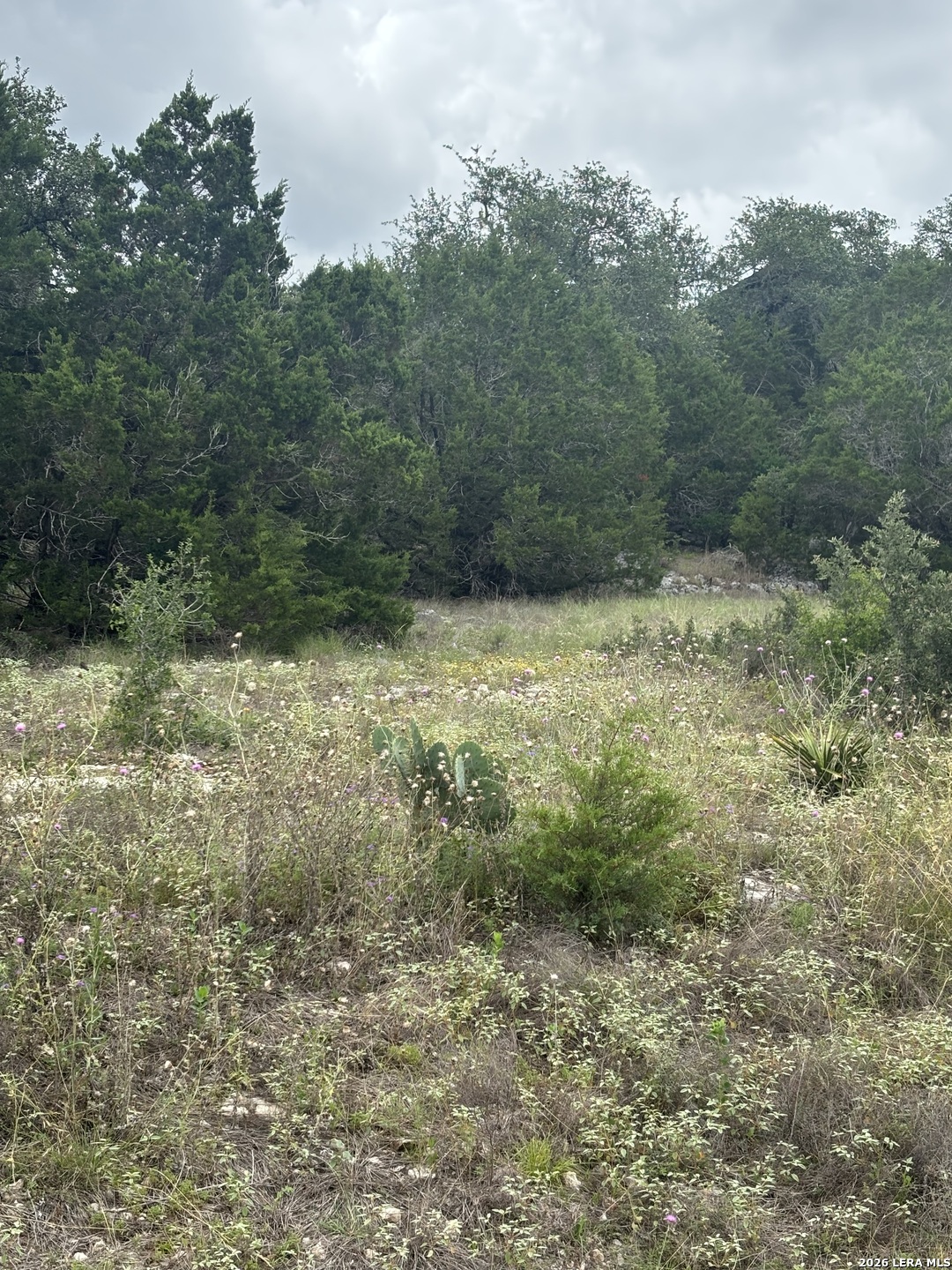 1328 POWDER RIDGE RD, New Braunfels, TX 78132 — photo 1