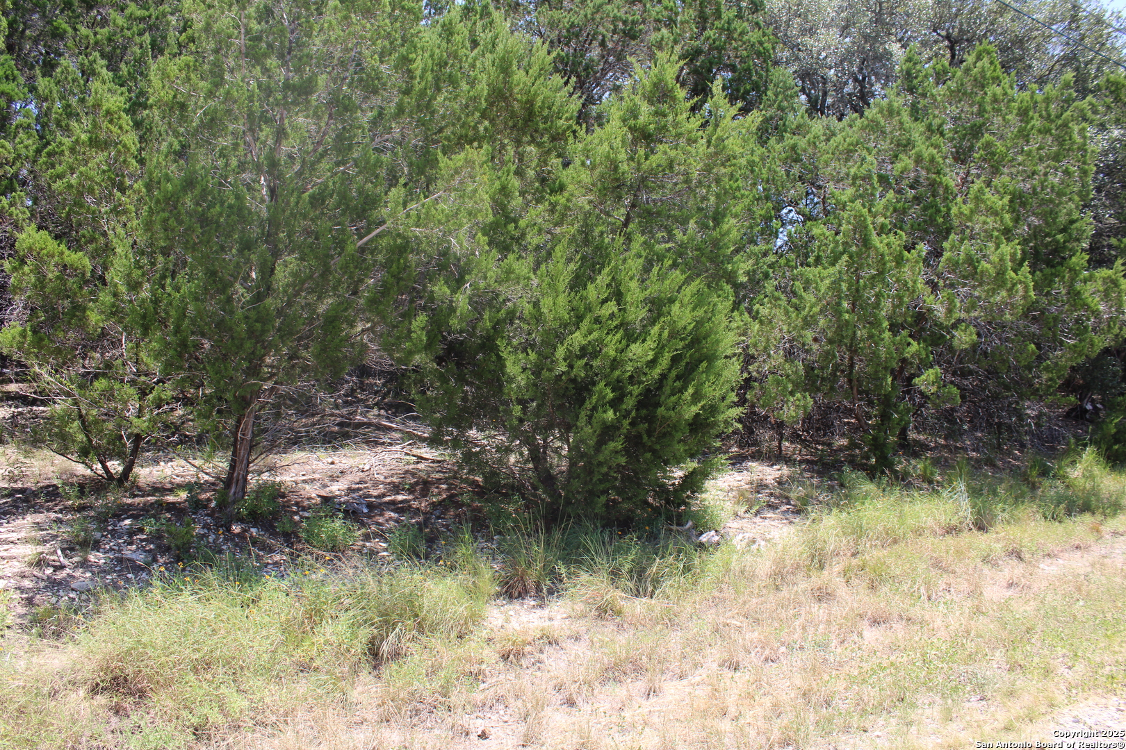 1105 Rotherman, Canyon Lake, TX 78133 — photo 1