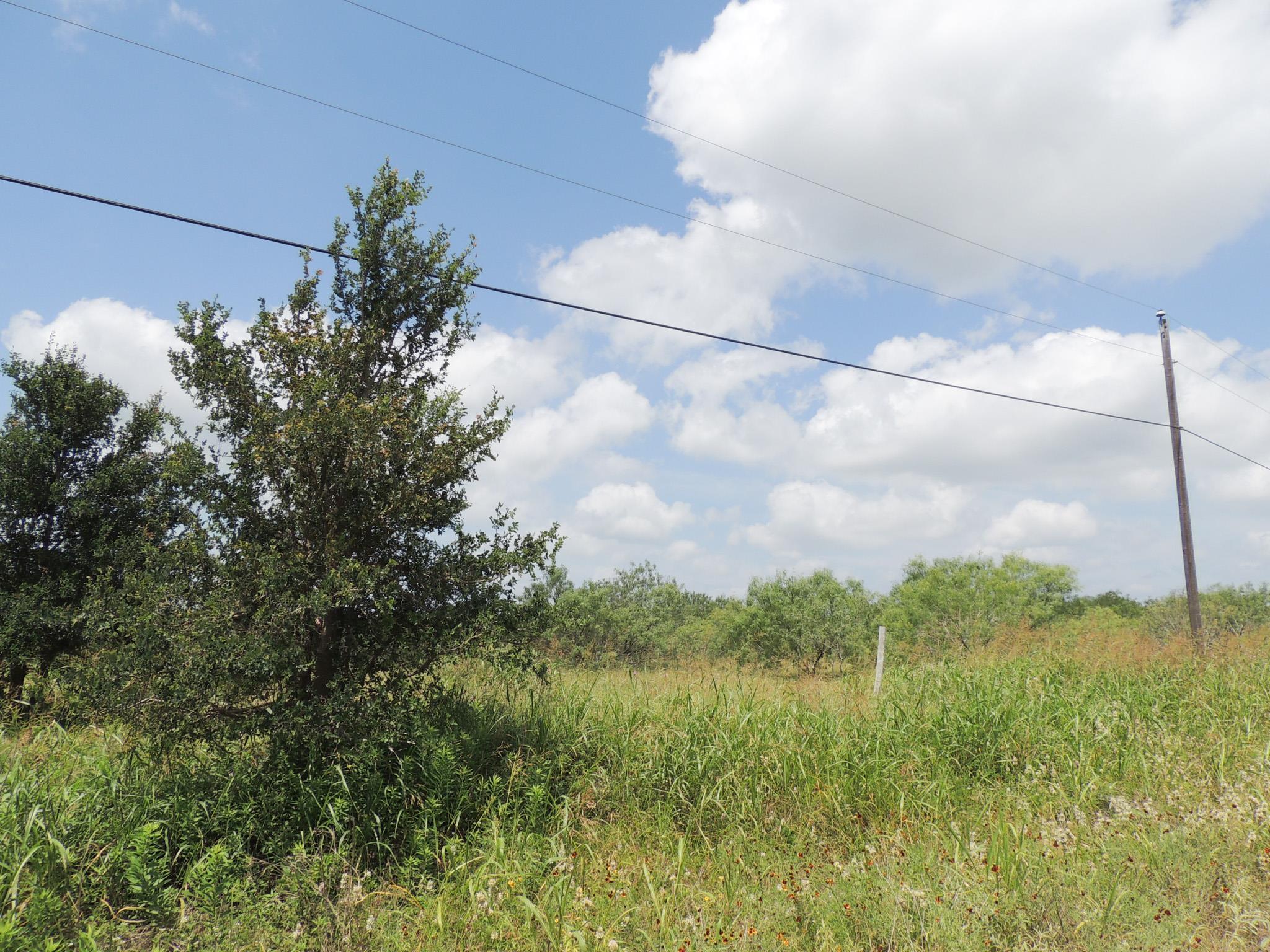 265 Linam Ln, Cedar Creek, TX 78612 — photo 1